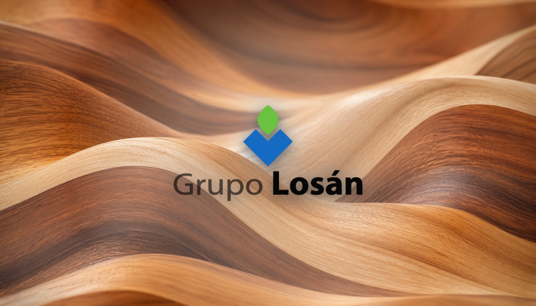 Grupo Losán